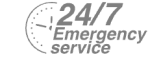 24/7 Emergency Service Pest Control in Harrow, Harrow on the Hill, HA1. Call Now! 020 8166 9746